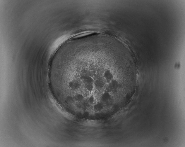 X0000115480149200911201848