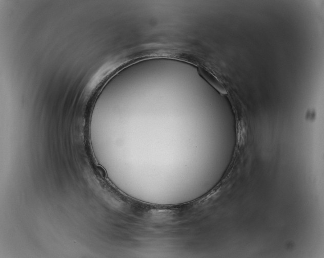 X0000115480150200911201848