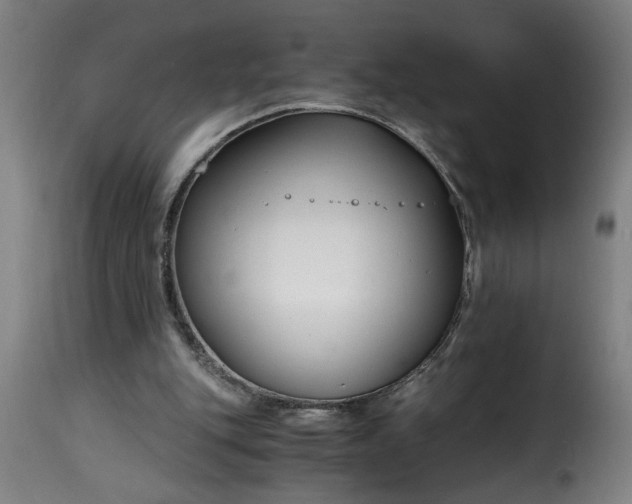 X0000115480151200911201848