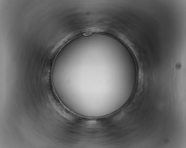 X0000115480153200911201848