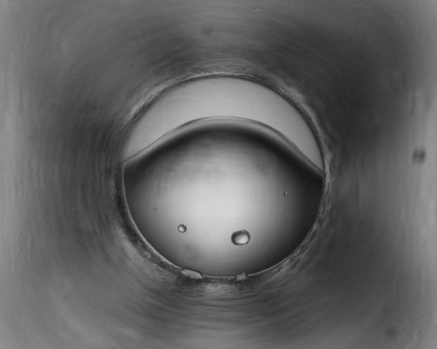 X0000115480154200911201848