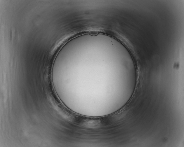 X0000115480155200911201848