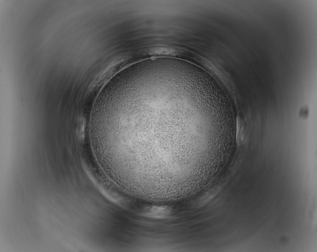 X0000115480157200911201848