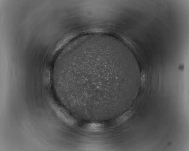 X0000115480158200911201848