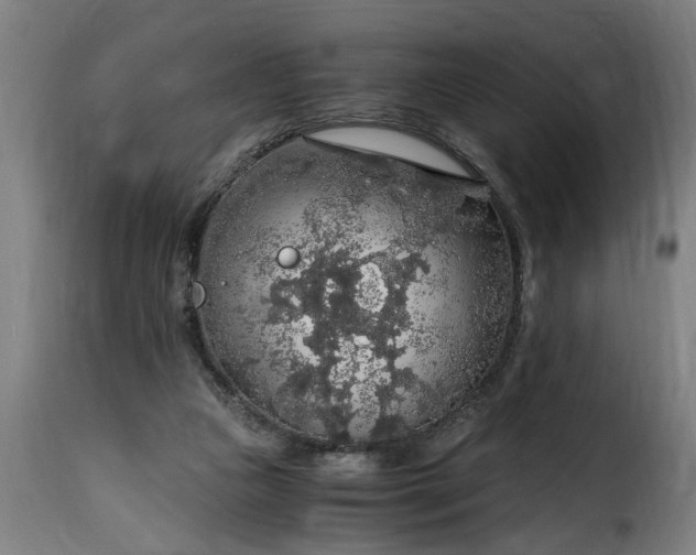 X0000115480161200911201848