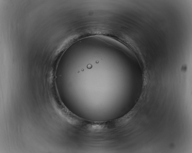 X0000115480163200911201848