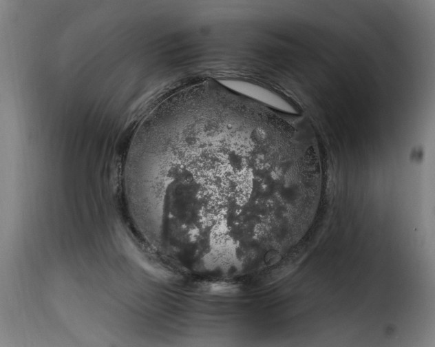 X0000115480165200911201848