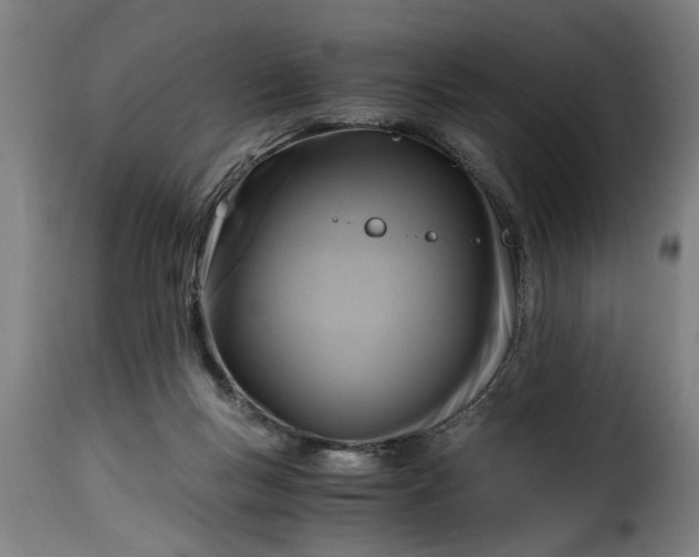 X0000115480167200911201848