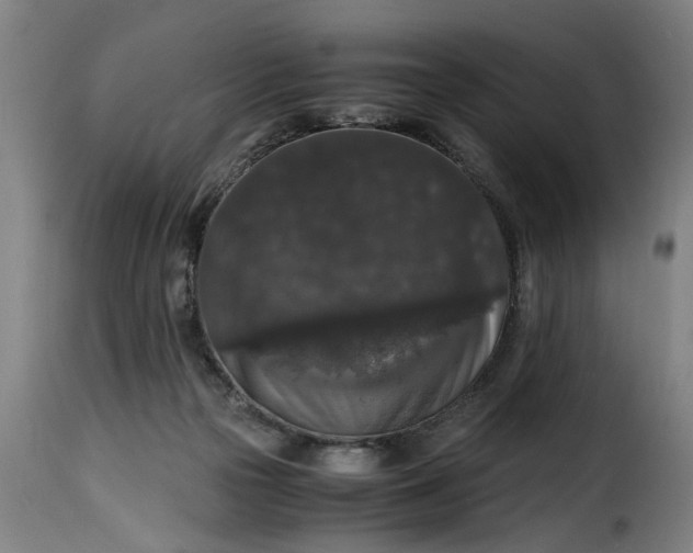 X0000115480169200911201848