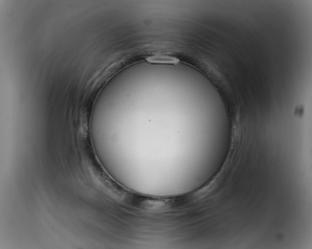 X0000115480170200911201848