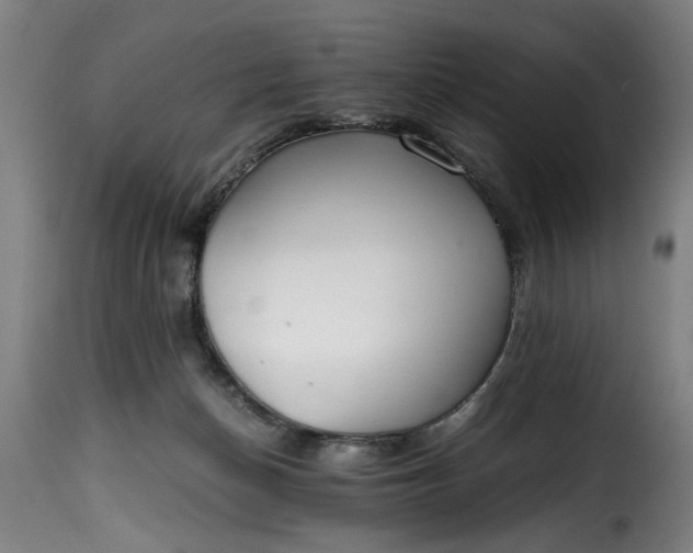 X0000115480174200911201848