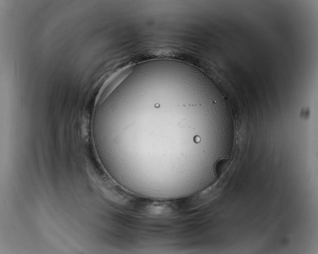 X0000115480175200911201848