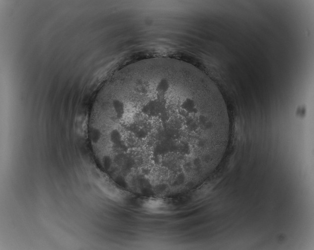 X0000115480177200911201848