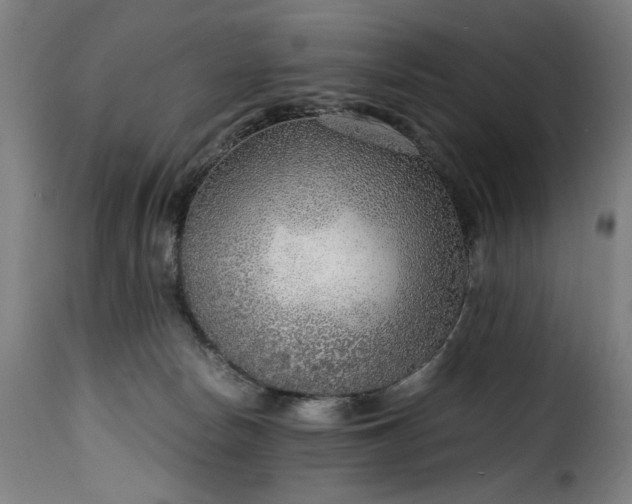 X0000115480178200911201848