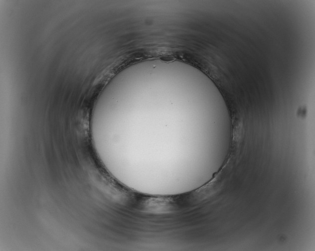 X0000115480179200911201848