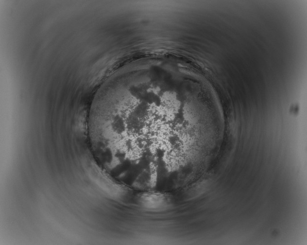 X0000115480181200911201848