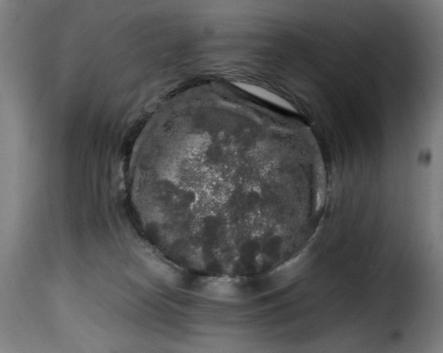 X0000115480182200911201848