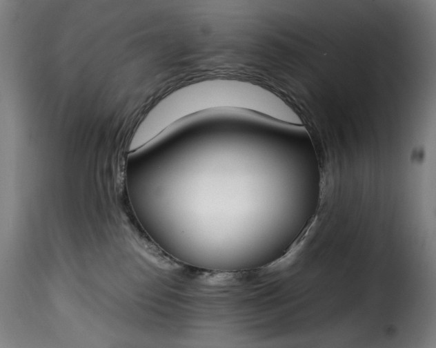 X0000115480186200911201848