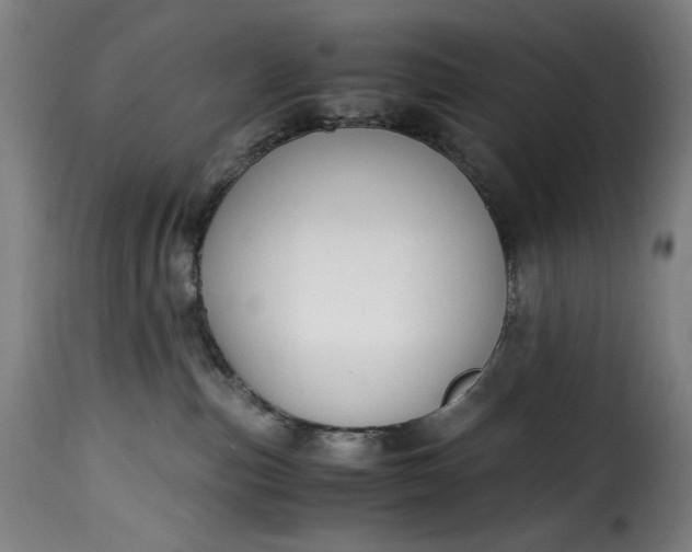 X0000115480187200911201848