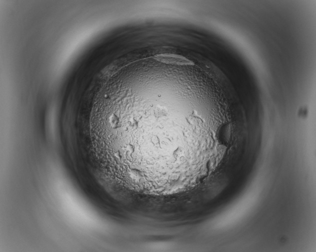 X0000115480189200911201848