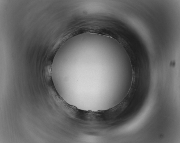 X0000115480190200911201848