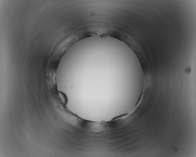 X0000115480191200911201848