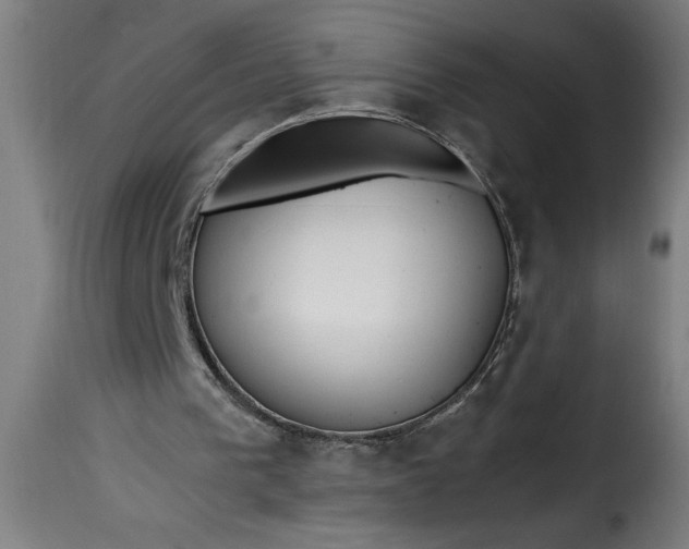 X0000115480193200911201848