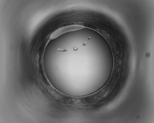 X0000115480194200911201847