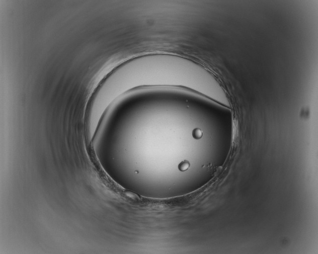 X0000115480195200911201847