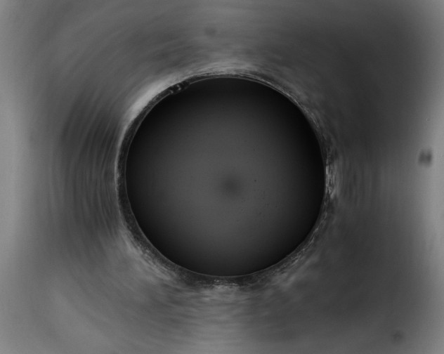 X0000115480196200911201847