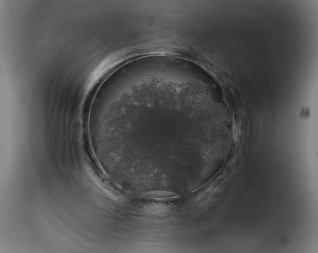 X0000115480198200911201847