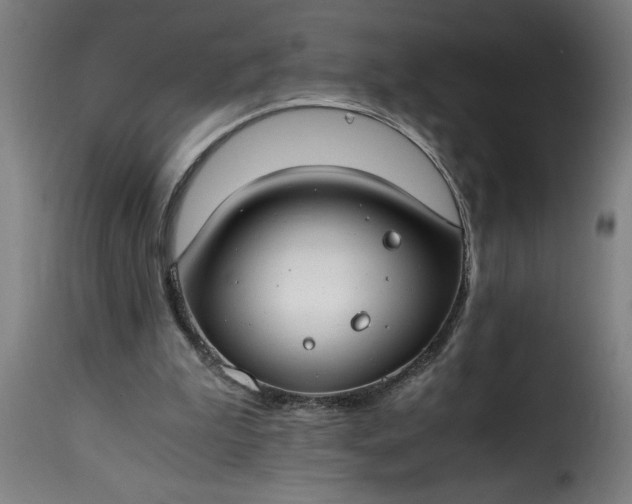 X0000115480199200911201847