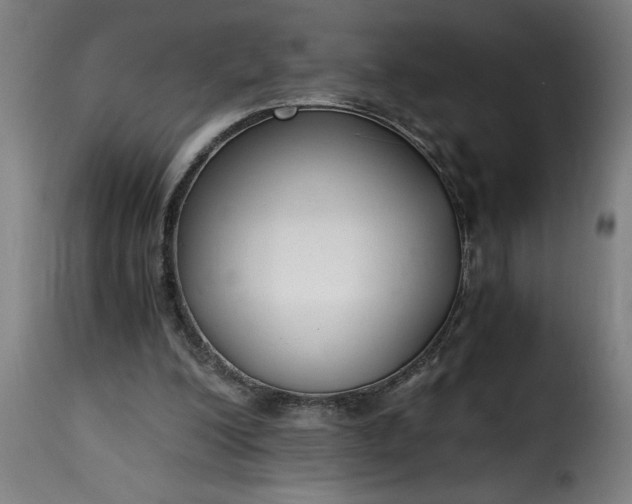 X0000115480200200911201847