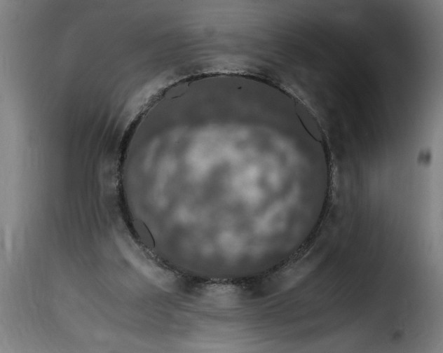 X0000115480203200911201847