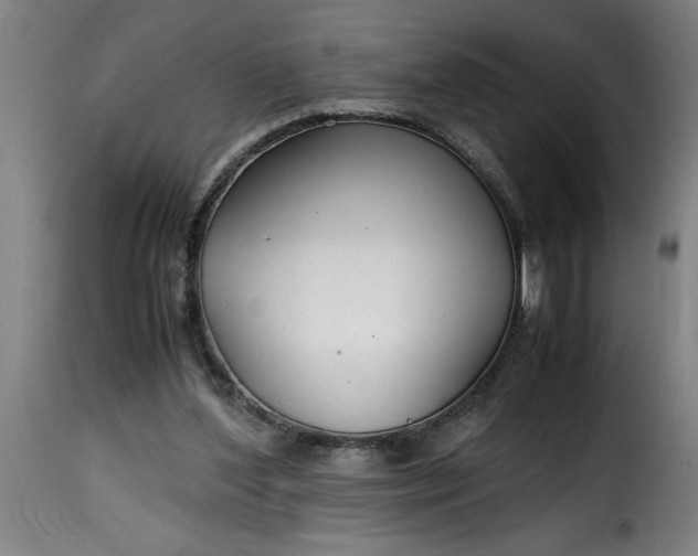 X0000115480204200911201847