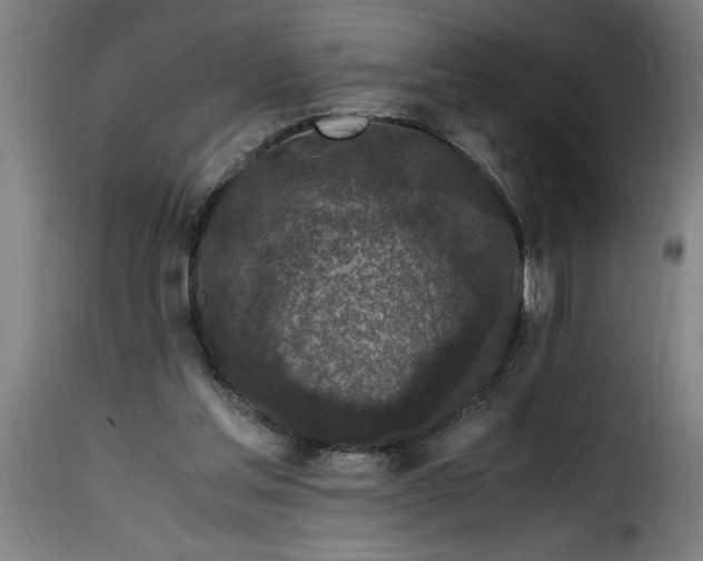 X0000115480205200911201847