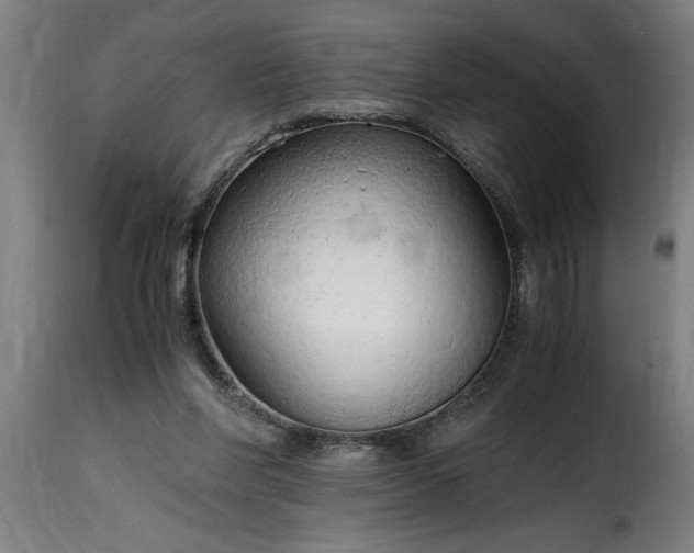 X0000115480206200911201847