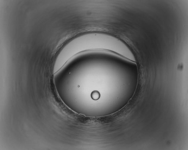 X0000115480207200911201847