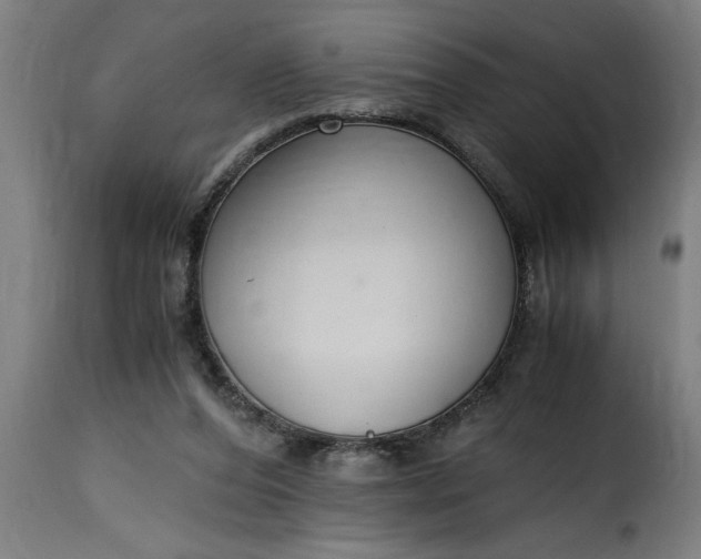 X0000115480208200911201847