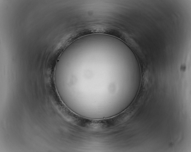 X0000115480209200911201847