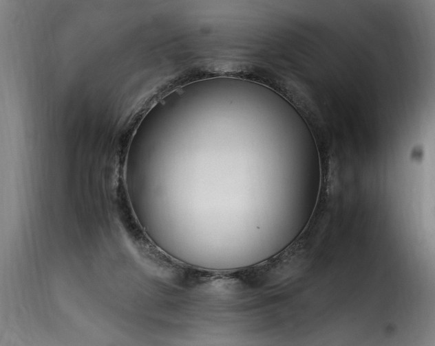 X0000115480210200911201847