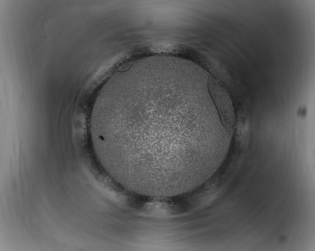 X0000115480211200911201847