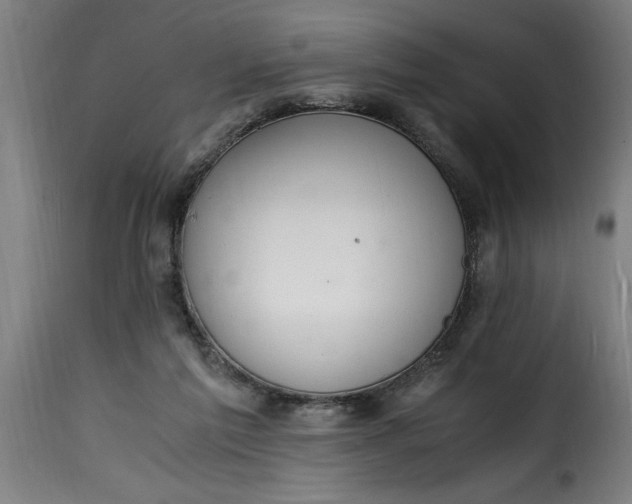 X0000115480213200911201847