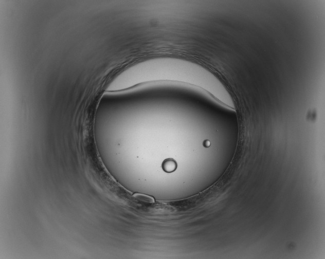 X0000115480215200911201847