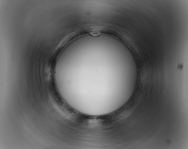 X0000115480216200911201847