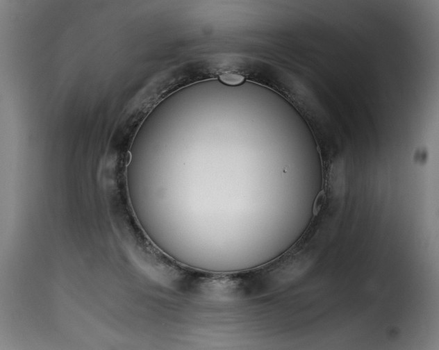 X0000115480217200911201847