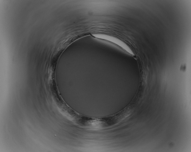 X0000115480219200911201847