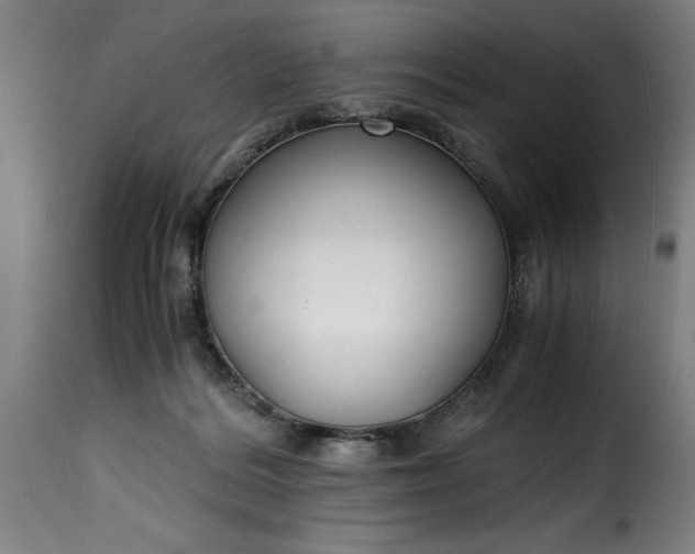 X0000115480220200911201847