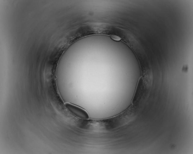 X0000115480221200911201847