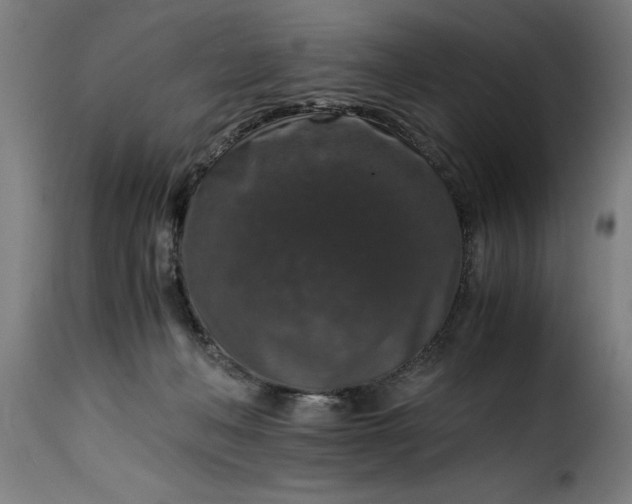 X0000115480222200911201847